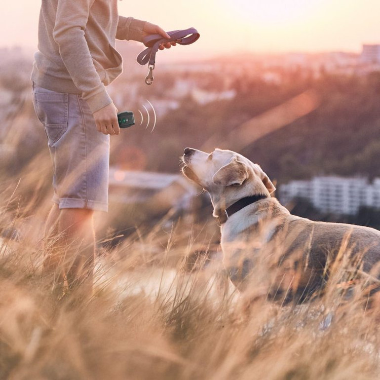 دور کننده حیوانات اولتراسونیک گرین Green Ultrasonic Pet Shield